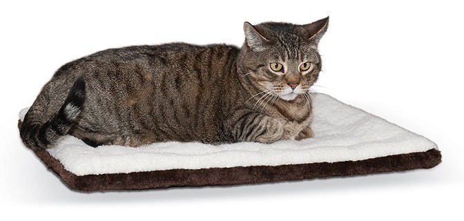 heated cat blanket